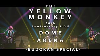 Music video thumbnail preview for THE YELLOW MONKEY –「FAIRY LAND」「審美眼ブギ」Live at 2020.12.28 日本武道館 by THE YELLOW MONKEY