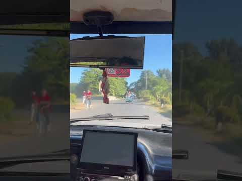 Visitar la tierra de Mami y Papi me encantaaaaaa.GUANE (Pinar del Rio).