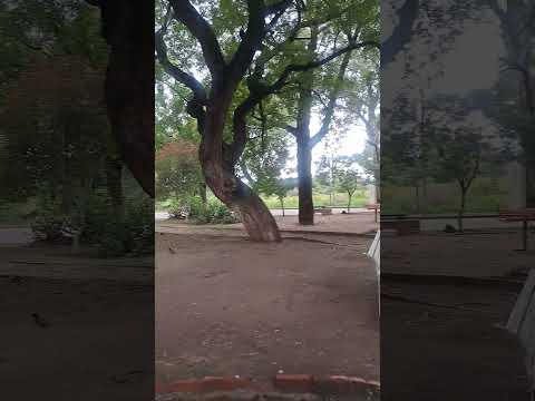 plaza Santa Rosa De Lima en San Pedro!!Departamento de Capayán en La magica bella Catamarca!!❤️❤️❤️