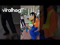 Service Dog Met His Favorite Disney Character ViralHog