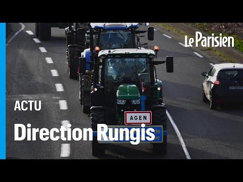 « Une question de survie » : partis d’Agen, ces agriculteurs veulent bloquer Rungis