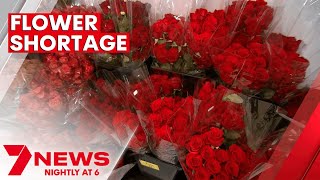National flower shortage drives up price of roses on Valentine's Day  | 7NEWS