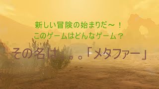 ＜ネタバレ注意＞ メタファー #01 ~旅立ち~
