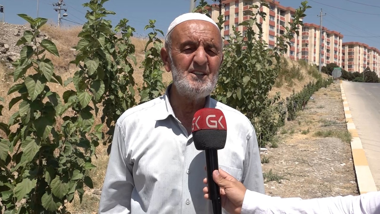 ڤیدیۆ | خۆبەخشێك هەموو بەیانییەك ئاوی درەختەكانی گەڕەكەكەی دەدات
