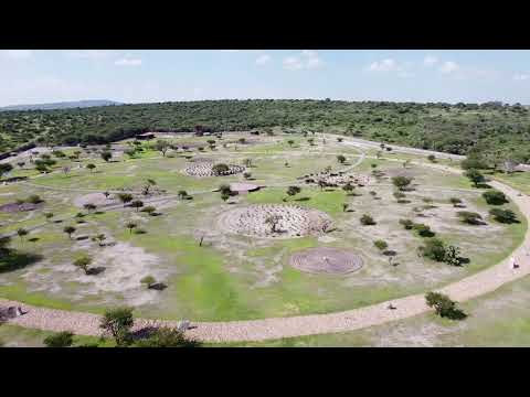 Area 33. The Torah Project.