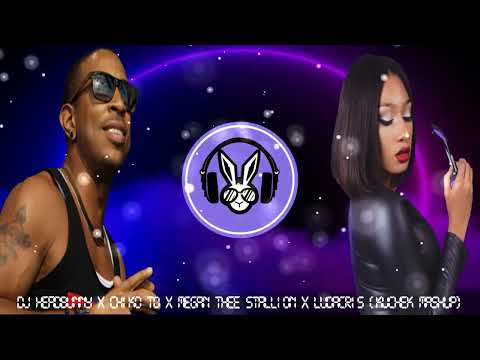 DJ HeadBunny x Chiko TD x Megan Thee Stallion x Ludacris - Kuchek Mashup