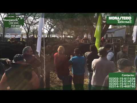 Monasterio-Tattersall, Daireaux, Buenos Aires