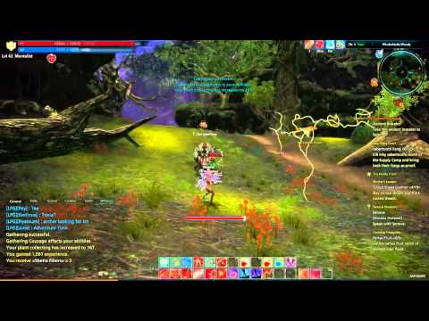 Tera - Human Archer - Part 32