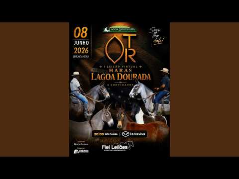 I LEILÃO VIRTUAL HARAS LAGOA DOURADA & CONVIDADOS | 08/06/2026 – 20H