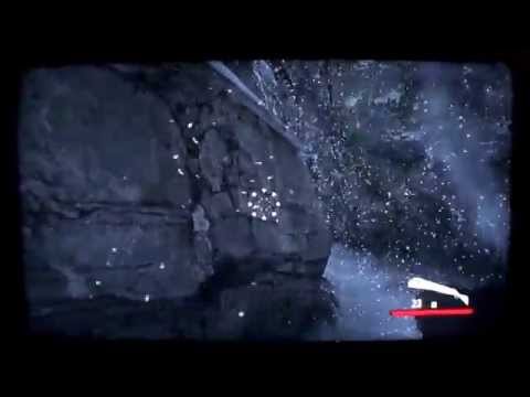 Grizzly Bear vs. A pack of Gray Wolves