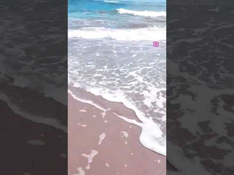 view today #ytshort #canada #beach #oceanwaves #ocean #beautiful #nature #waves #water