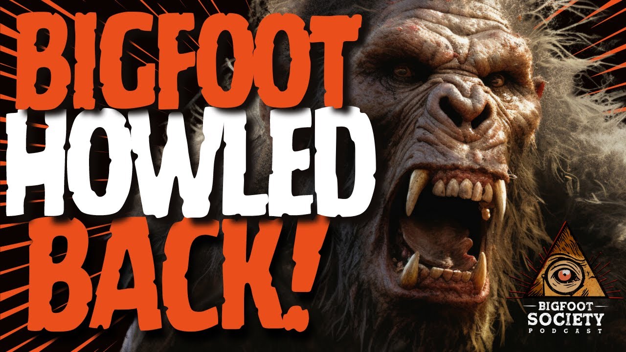 Bigfoot Is Attacking My House / Uwharrie Forest, North Carolina