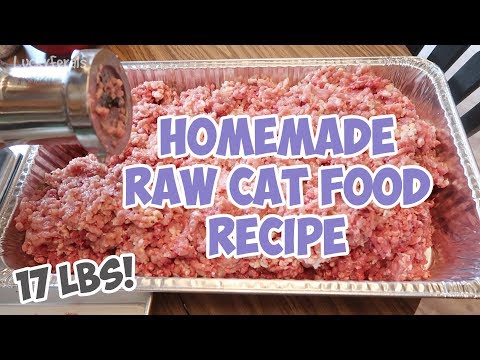 Homemade Raw Cat Food Recipe - Bulk Batch - That I've Been Feeding The Cats