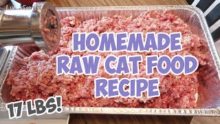 Homemade Raw Cat Food Recipe - Bulk Batch - That I