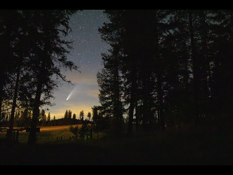 Letni wieczór ✨🌿🌜 wycisz się, dźwięki natury 🍃 Muzyka do snu