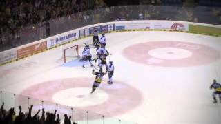 Krefeld Pinguine // Steh auf, mach Laut