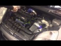 Zetec Turbo Mk6 Fiesta Tuning Vr Pots On MS