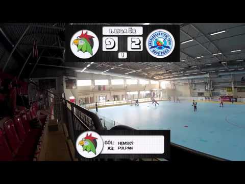 4. Kolo: MAD PARROTS 14:3 Nová Paka