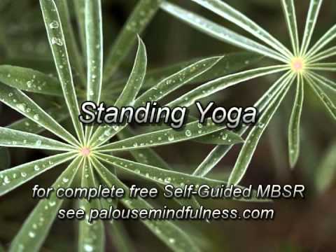 MBSR Standing Yoga (Yoga 2)