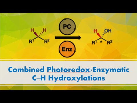 Combined Photoredox/Enzymatic C-H Hydroxylations