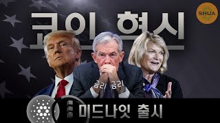 코인판이 커지고 있다. 하지만 금리는... | 에이다 x 미드나잇 출시