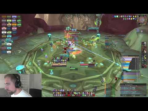 (SSC) Lady Vashj kill - Main Tank POV