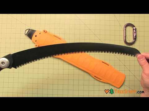 YouTube Thumbnail EYTHrqgzL1c