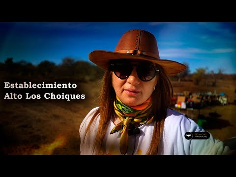 213 Yerra en Establecimiento Alto Los Choiques (San Luis) - Estancias y Tradiciones