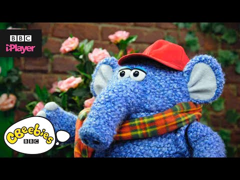 Off We Go Song! | Monty & Co | CBeebies