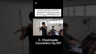 Download lagu 【これぞ、フルートの王道!】シャミナード作曲コンチェルティーノ作品107 #chaminade #flute #piano #flutemusic #pianomusic #フルート #ピアノ mp3 Download lagu 【これぞ、フルートの王道!】シャミナード作曲コンチェルティーノ作品107 #chaminade #flute #piano #flutemusic #pianomusic #フルート #ピアノ mp3