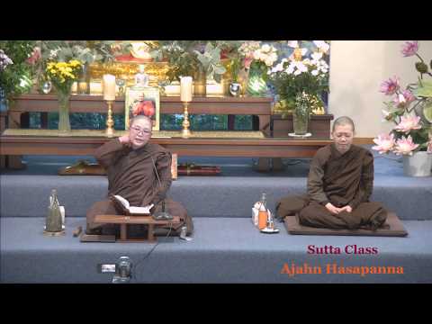 MN140 Dhātuvibhaṅga Sutta - The Analysis of the Elements | Ajahn Hasapanna | 14 June 2020