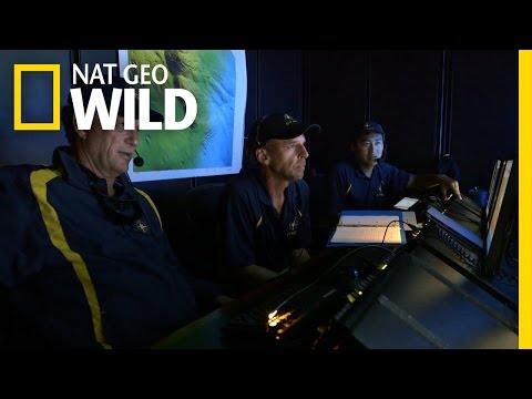 Kick-'Em-Jenny Shocks Expedition Crew | Caribbean's Deadly Underworld