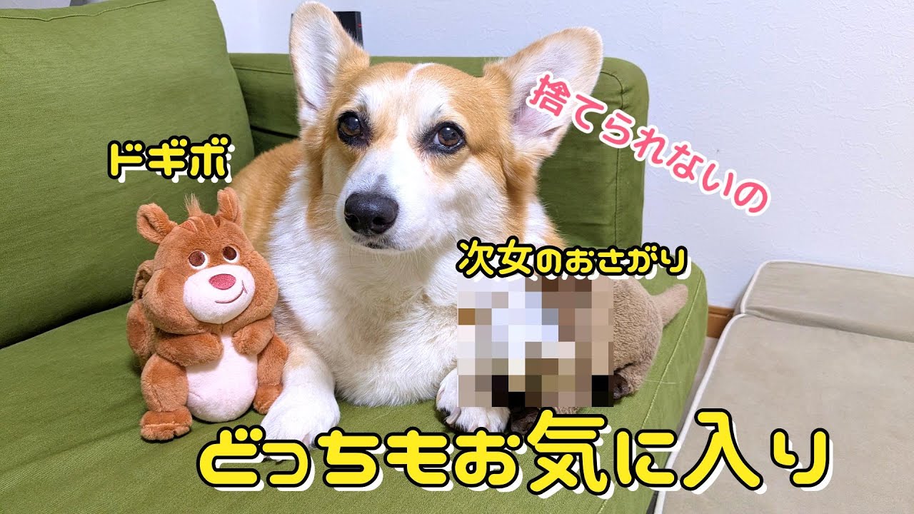 撮影中に恐ろしい残骸が落ちていました