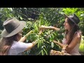 Mother The Mountain Farm Exposed Fan Attack Physical Disability Julia And Anastasia Vanderbyl