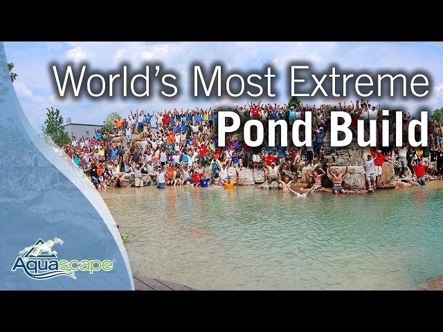 World's Most Extreme Pond Build Finale 2