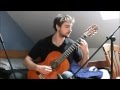 The Lord of the Rings - Concerning Hobbits on Classical Guitar