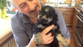 Hey Tara Morin........Here's Luna and Her Sister