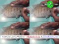 Allahs Names in two Fishes in Matara Srilanka ...