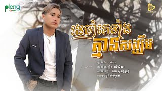 SeyHa - រង់ចាំគេទាំងគ្មានសង្ឃឹម  / សីហា  (Official Audio Lyrics)
