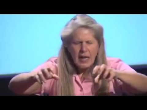 Jill Bolte Taylor's stroke of insight