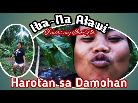 IBA-NA ALAWI HAROTAN SA DAMOHAN