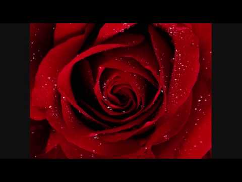 Eres mi todo. Orquesta Novel