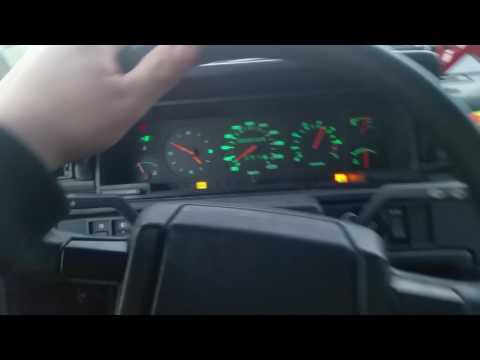 En kass vår börn med en volvo 740