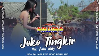 Download lagu Joko Tingkir mp3