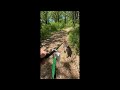 Dog Poop Bags With Handles For Easy Cleanup Pkpoo