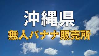 沖縄に行ったらバナナを食べましょうねバナナね美味しいバナナね