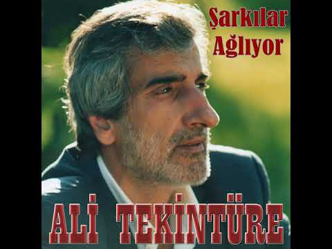 Evlendi Çocuğu Oldu Diyorlar Ali Tekintüre