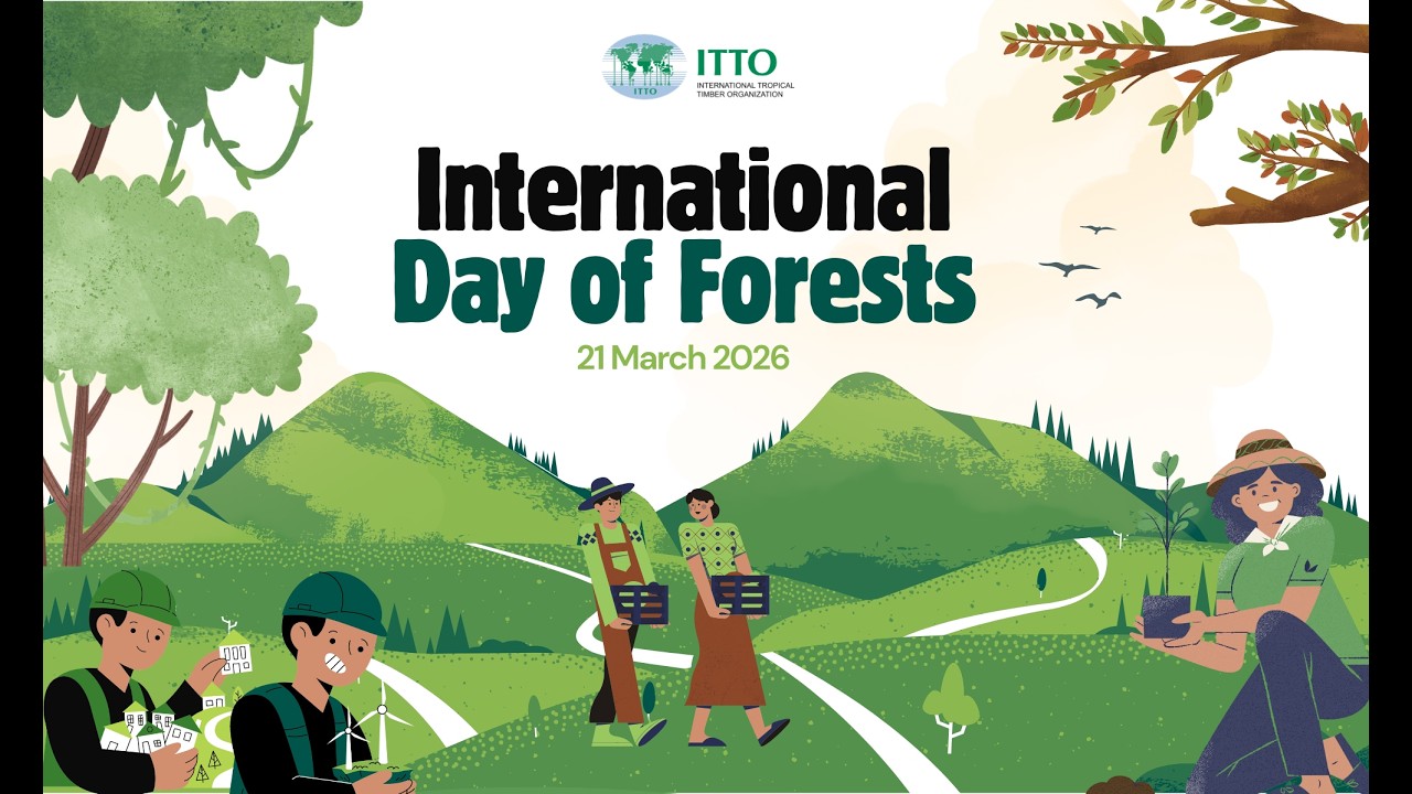 International Day of Forests 2026