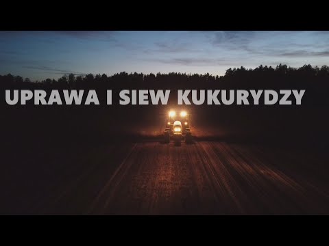 ✔🔥//☆UPRAWA I SIEW KUKURYDZY☆//☆ZETOR FORTERRA☆//✔🔥