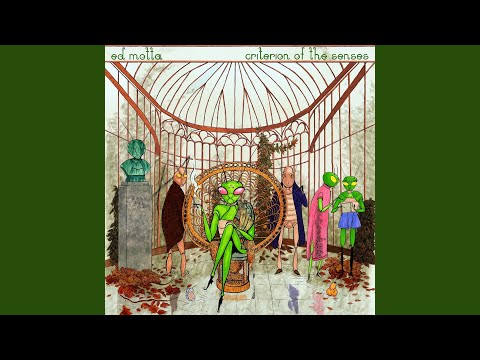 download lagu mp3 mp4 The Required Dress Code, download lagu The Required Dress Code gratis, unduh video klip The Required Dress Code